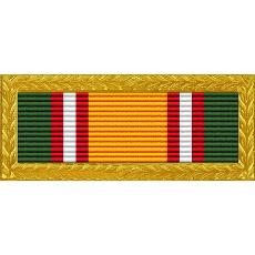 Tennessee National Guard Army Volunteer Recruiting & Retention Ribbon with Large Gold Frame